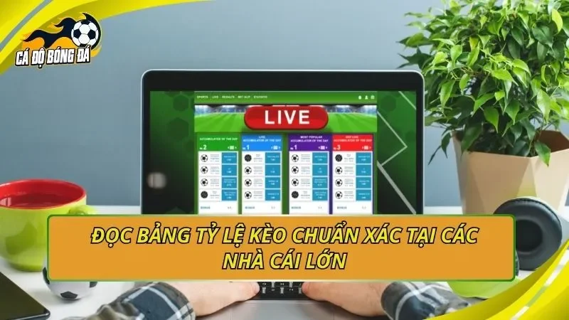 Đọc bảng tỷ lệ kèo chuẩn xác tại các nhà cái lớn